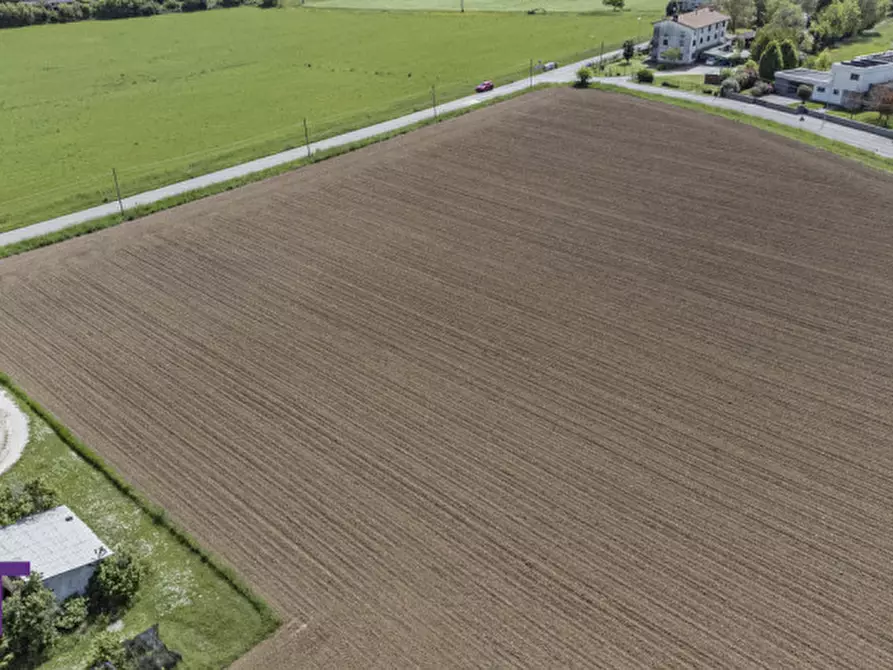 Immagine 3 di Terreno in vendita  in via quattro novembre a Bagnaria Arsa