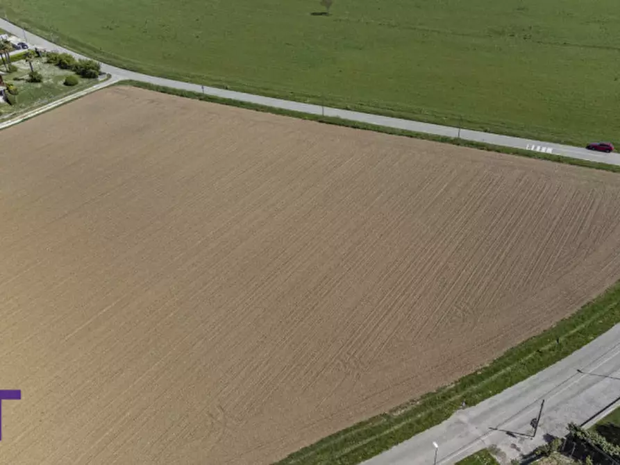 Immagine 4 di Terreno in vendita  in via quattro novembre a Bagnaria Arsa