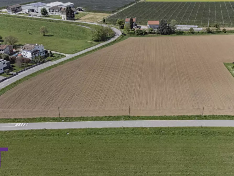 Immagine 6 di Terreno in vendita  in via quattro novembre a Bagnaria Arsa
