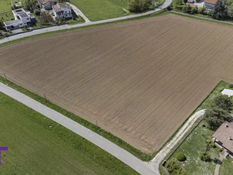 Immagine 8 di Terreno in vendita  in via quattro novembre a Bagnaria Arsa