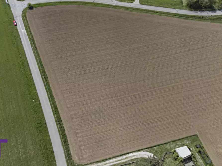 Immagine 9 di Terreno in vendita  in via quattro novembre a Bagnaria Arsa