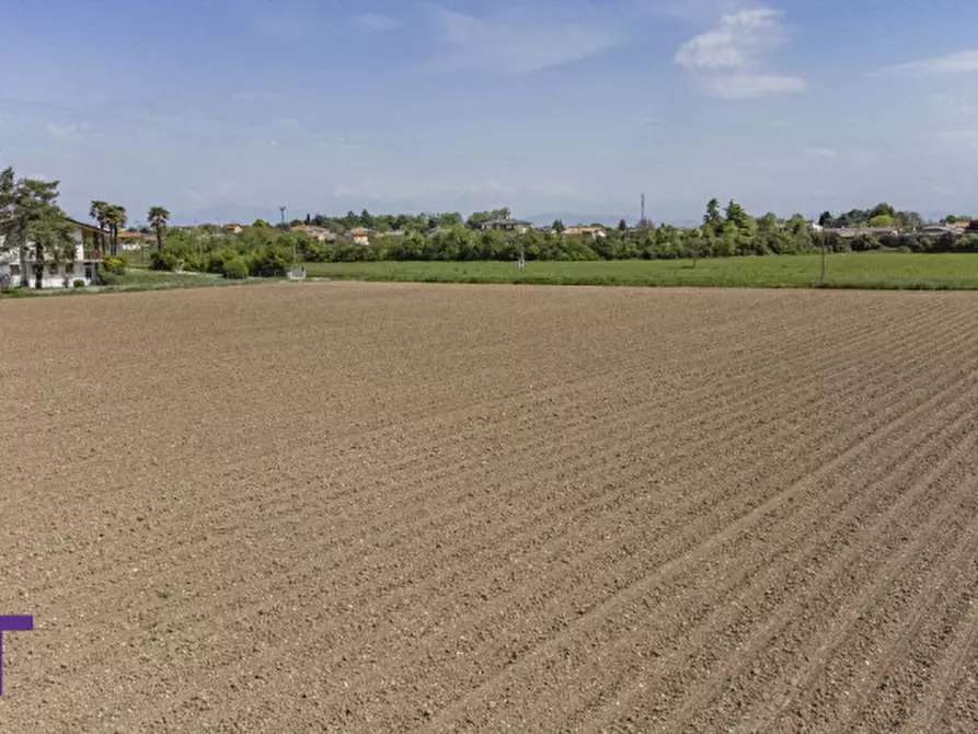 Immagine 11 di Terreno in vendita  in via quattro novembre a Bagnaria Arsa
