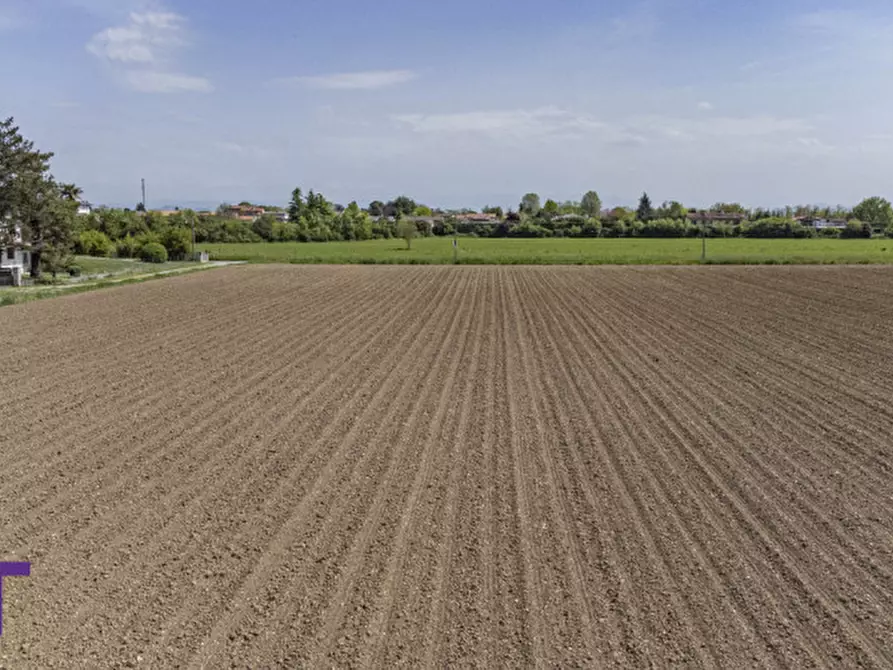 Immagine 12 di Terreno in vendita  in via quattro novembre a Bagnaria Arsa