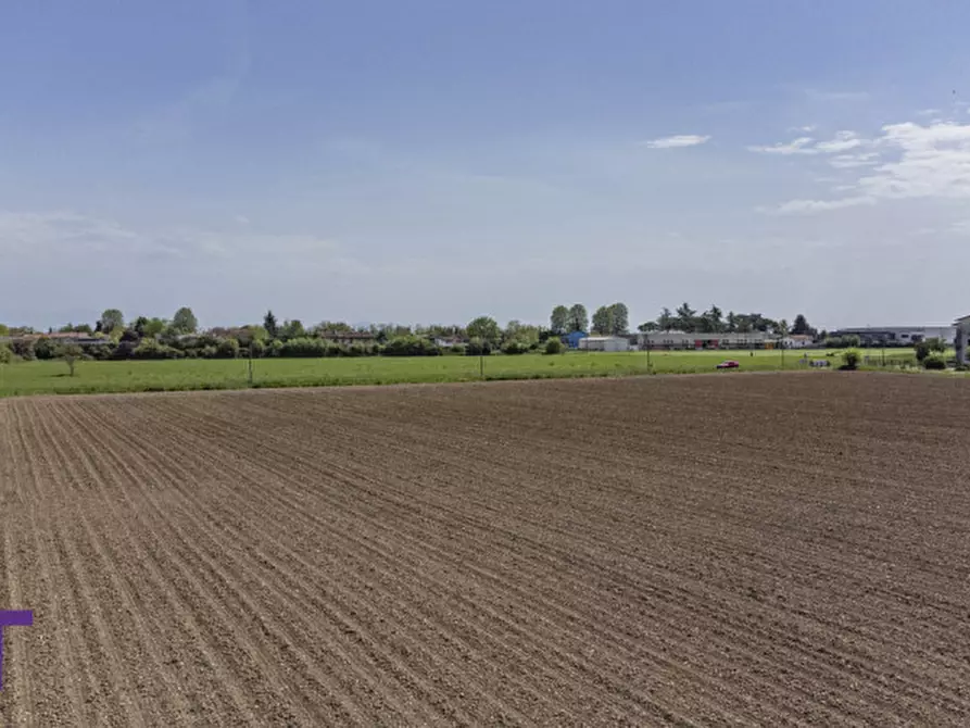 Immagine 13 di Terreno in vendita  in via quattro novembre a Bagnaria Arsa