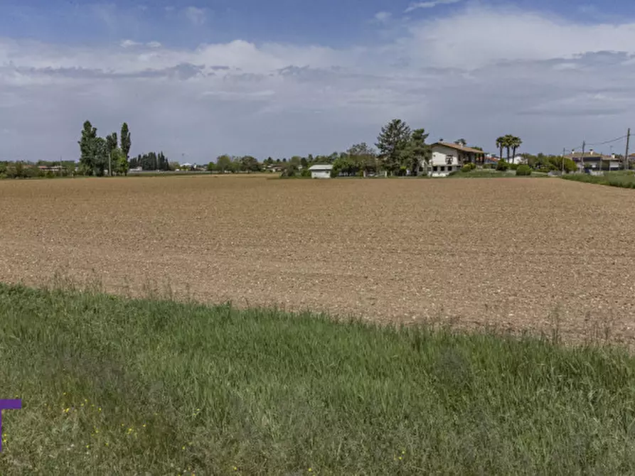 Immagine 14 di Terreno in vendita  in via quattro novembre a Bagnaria Arsa