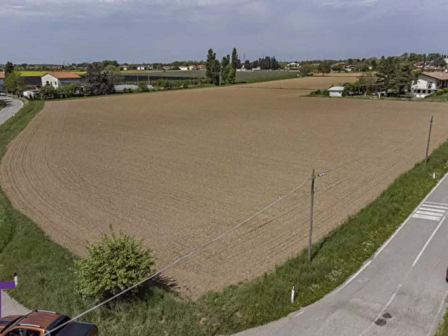 Immagine 15 di Terreno in vendita  in via quattro novembre a Bagnaria Arsa