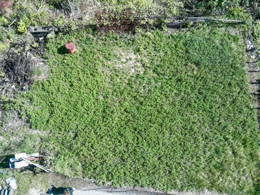 Immagine 4 di Rustico / casale in vendita  in Via Alpiolo a San Maurizio D'opaglio