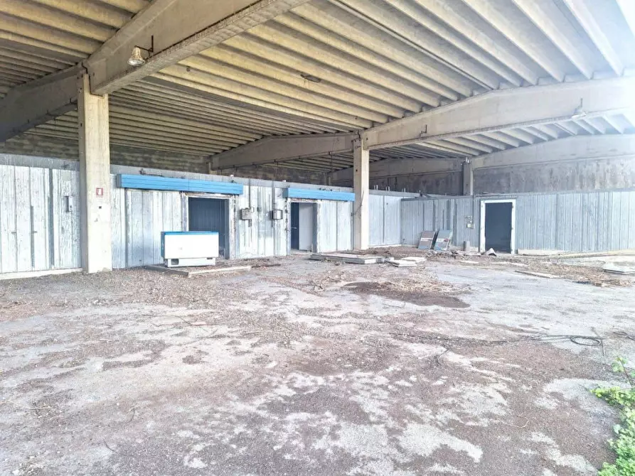 Immagine 1 di Capannone industriale in vendita  in Via Lavinium a Scalea