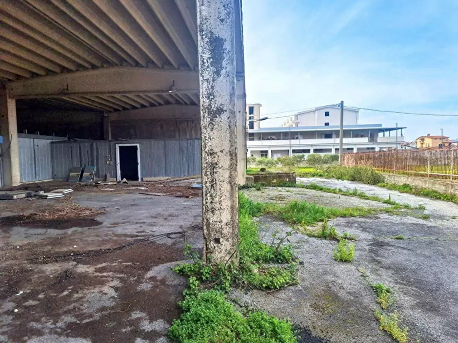 Immagine 2 di Capannone industriale in vendita  in Via Lavinium a Scalea