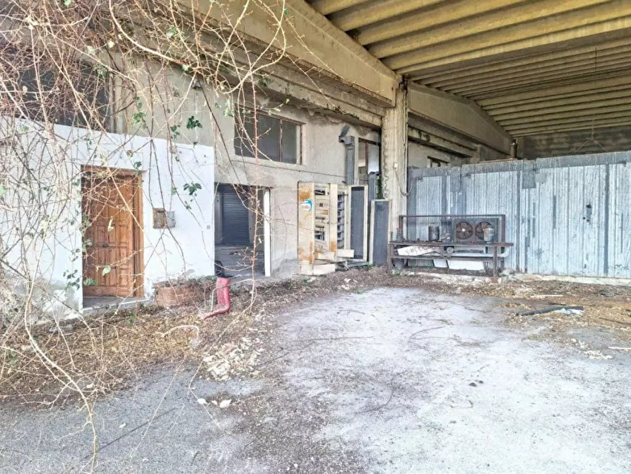 Immagine 3 di Capannone industriale in vendita  in Via Lavinium a Scalea