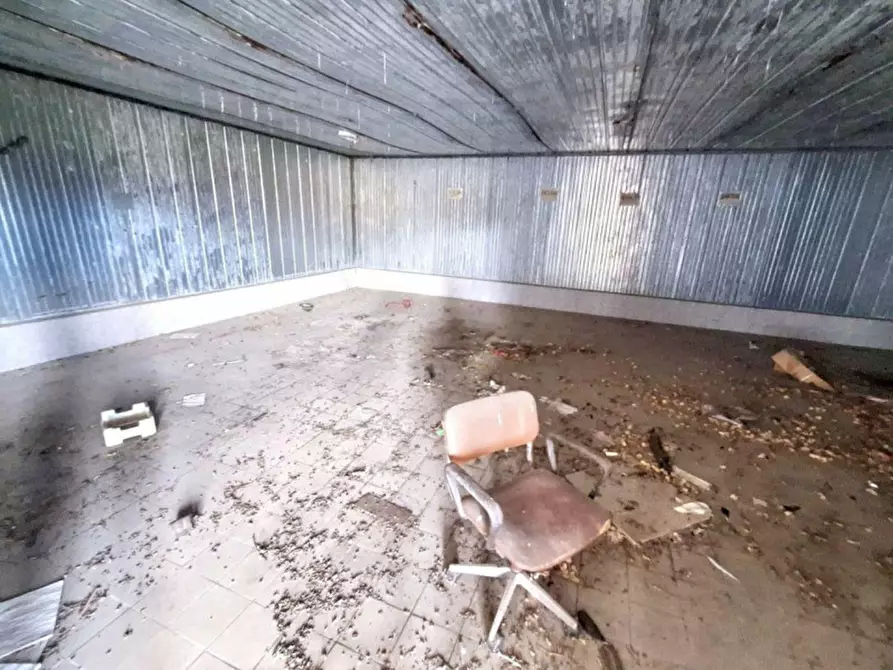 Immagine 4 di Capannone industriale in vendita  in Via Lavinium a Scalea