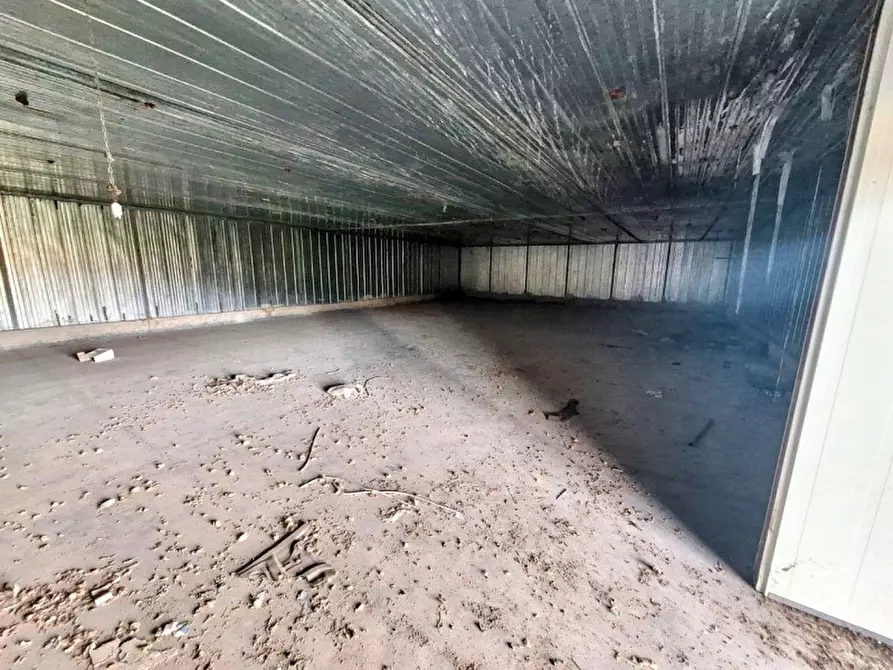 Immagine 5 di Capannone industriale in vendita  in Via Lavinium a Scalea