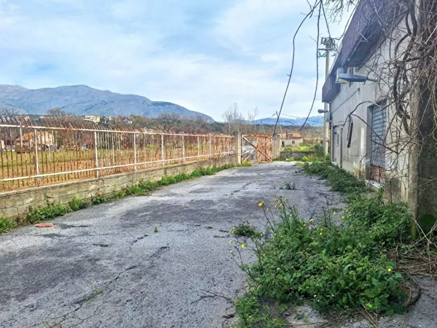 Immagine 8 di Capannone industriale in vendita  in Via Lavinium a Scalea
