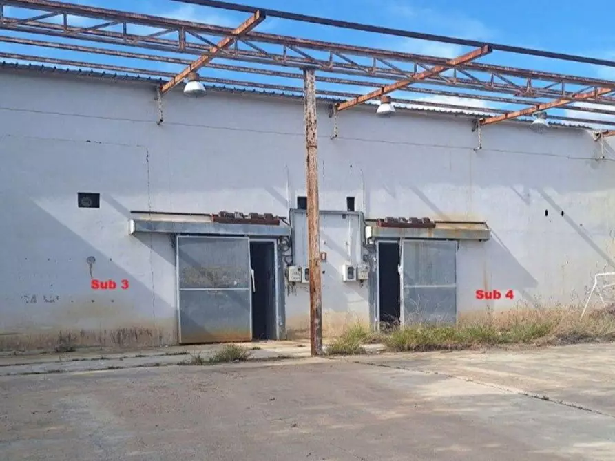 Immagine 1 di Magazzino in vendita  in Località Chiara, 88050 Sellia Marina CZ, Italia a Sellia Marina