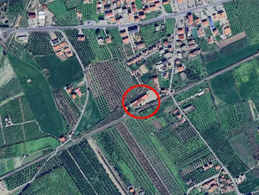 Immagine 11 di Magazzino in vendita  in Località Chiara, 88050 Sellia Marina CZ, Italia a Sellia Marina