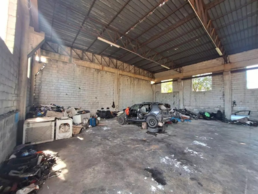 Immagine 3 di Magazzino in vendita  in Località Chiara, 88050 Sellia Marina CZ, Italia a Sellia Marina