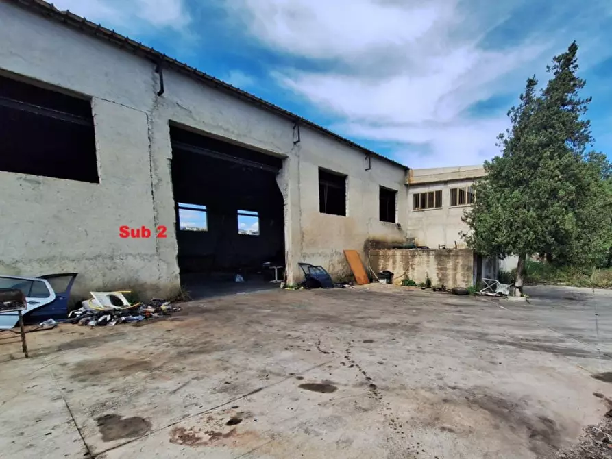 Immagine 7 di Magazzino in vendita  in Località Chiara, 88050 Sellia Marina CZ, Italia a Sellia Marina