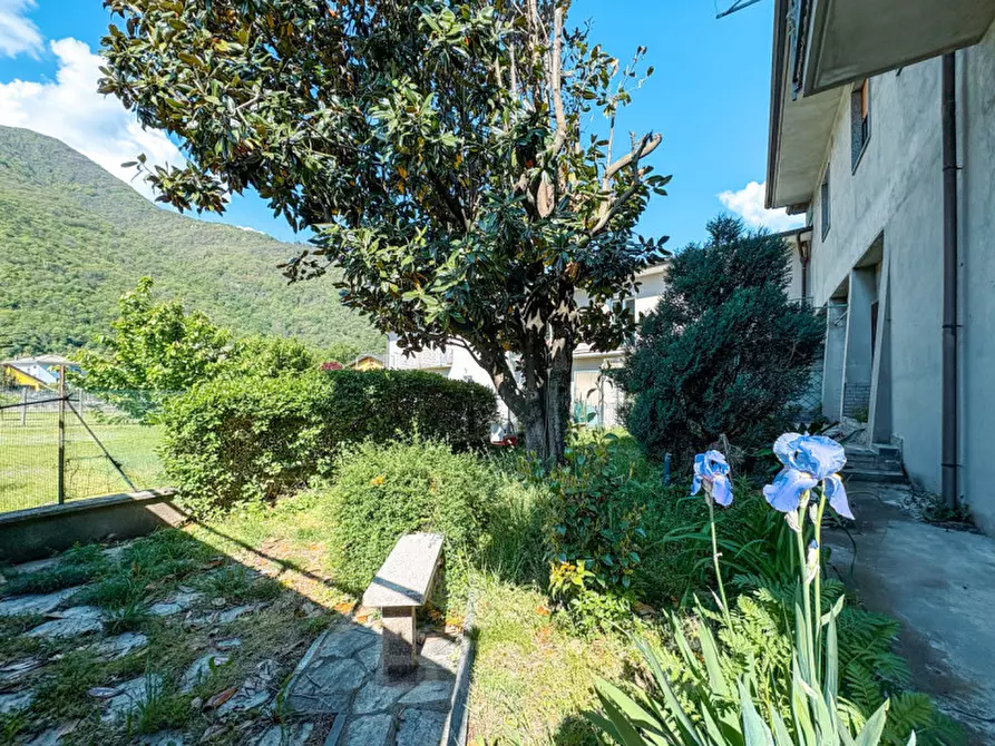 Immagine 14 di Appartamento in vendita  in Via Vittorio Veneto a Ornavasso