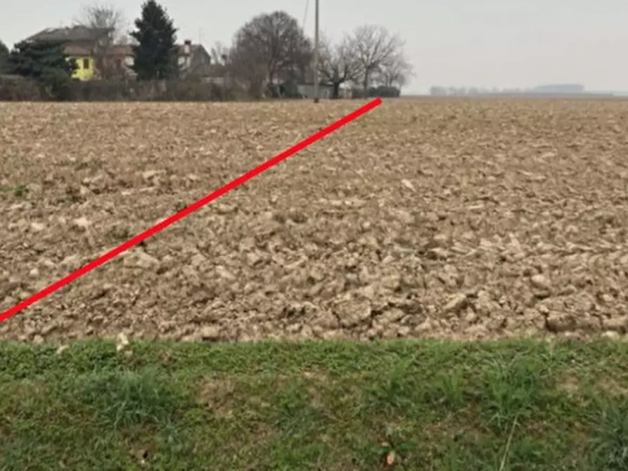 Immagine 1 di Terreno in vendita  in VIA OLMI a Nogara