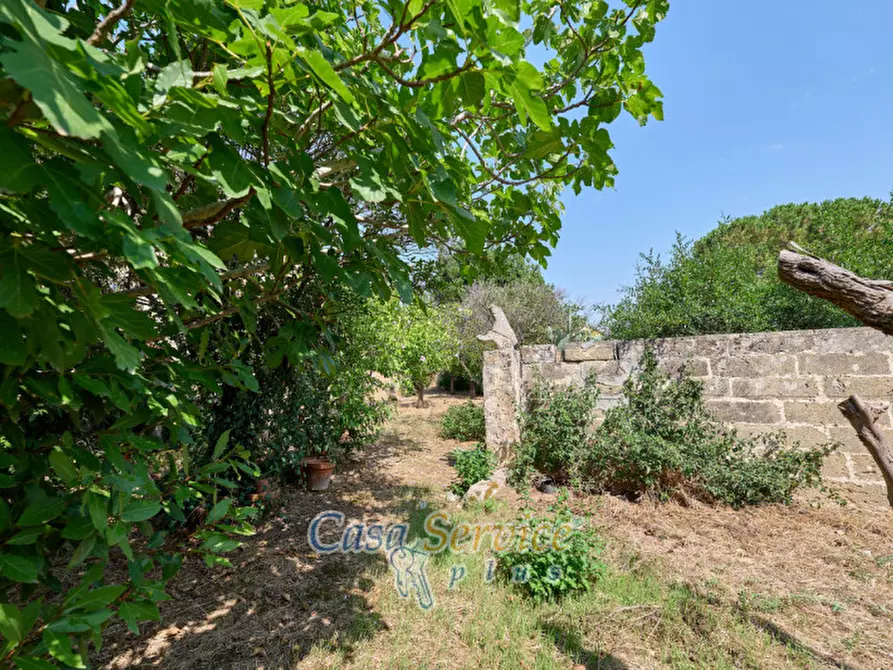 Immagine 11 di Casa indipendente in vendita  in Via Roma a Alezio