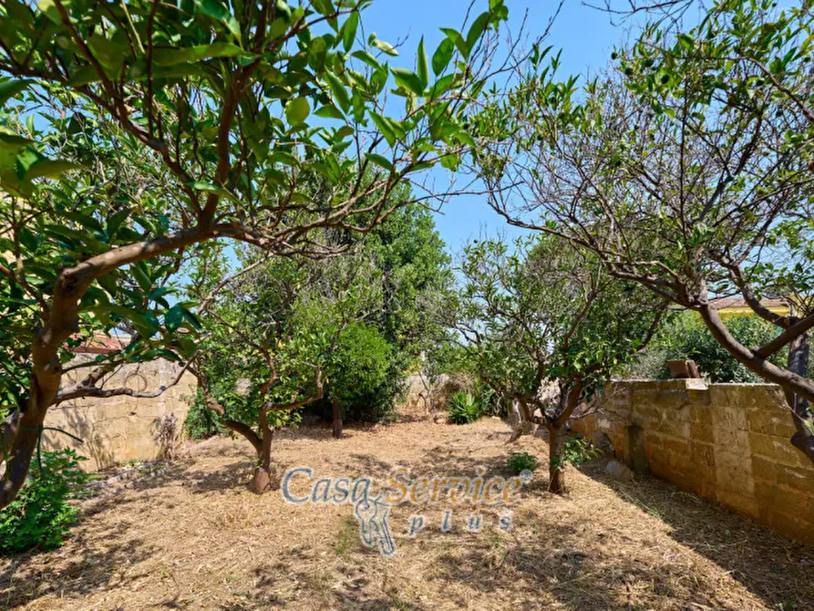 Immagine 13 di Casa indipendente in vendita  in Via Roma a Alezio