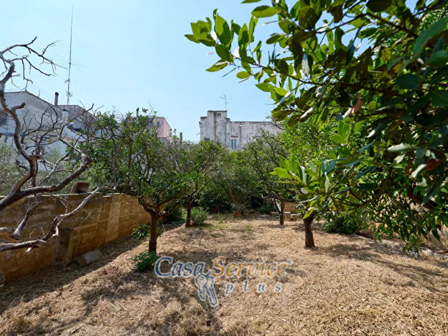 Immagine 14 di Casa indipendente in vendita  in Via Roma a Alezio