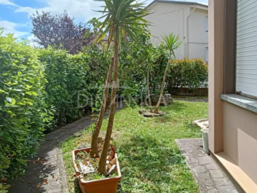 Immagine 21 di Appartamento in vendita  a Vinci