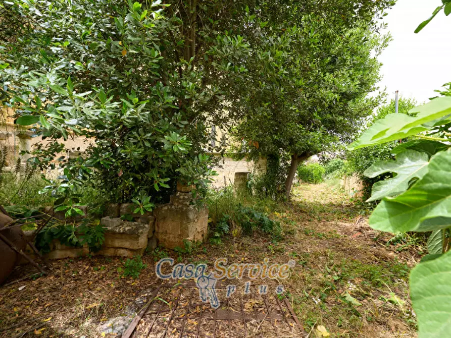 Immagine 28 di Palazzo in vendita  in Via Roma a Alezio