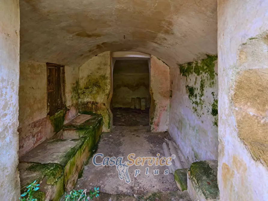 Immagine 31 di Palazzo in vendita  in Via Roma a Alezio