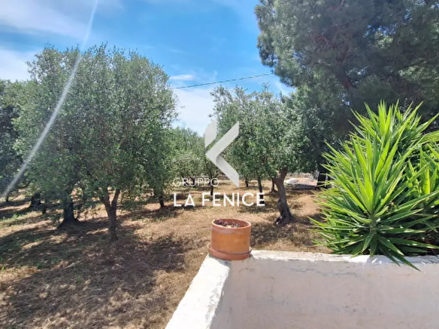 Immagine 15 di Villa in vendita  in contrada Masseria Piccola a Cisternino