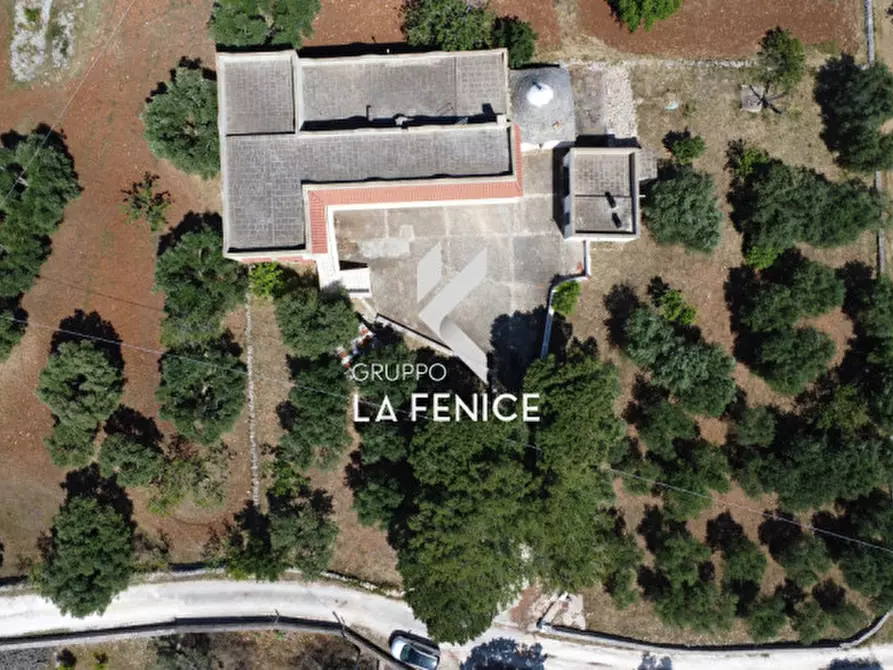 Immagine 35 di Villa in vendita  in contrada Masseria Piccola a Cisternino