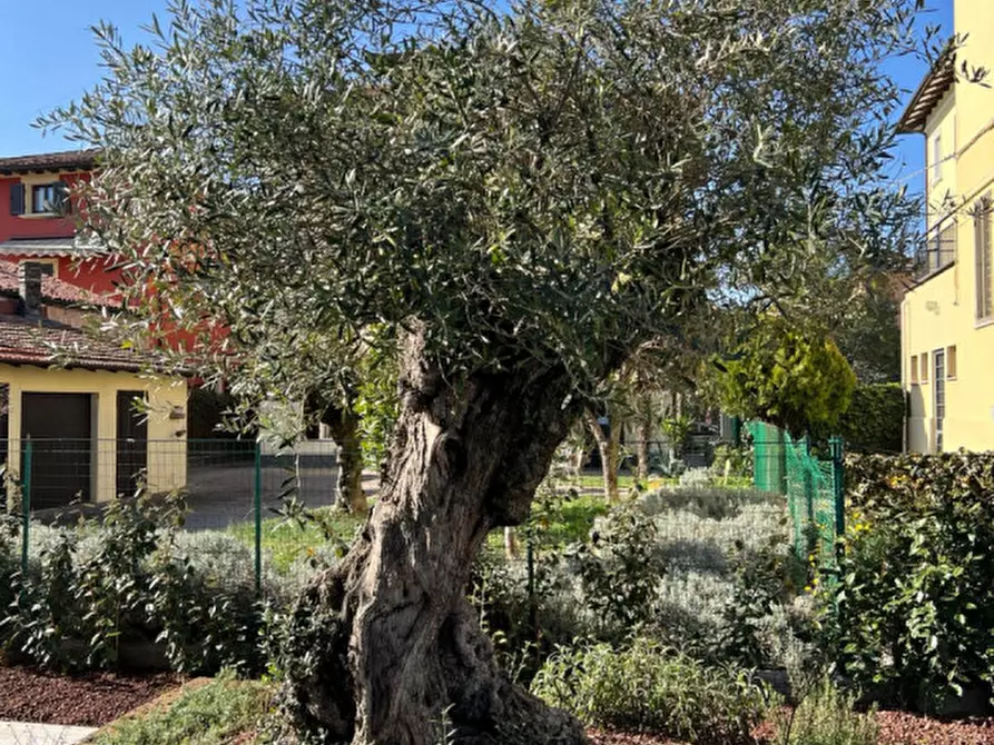 Immagine 6 di Appartamento in vendita  in Via Pietro Riccardi 10 a Modena