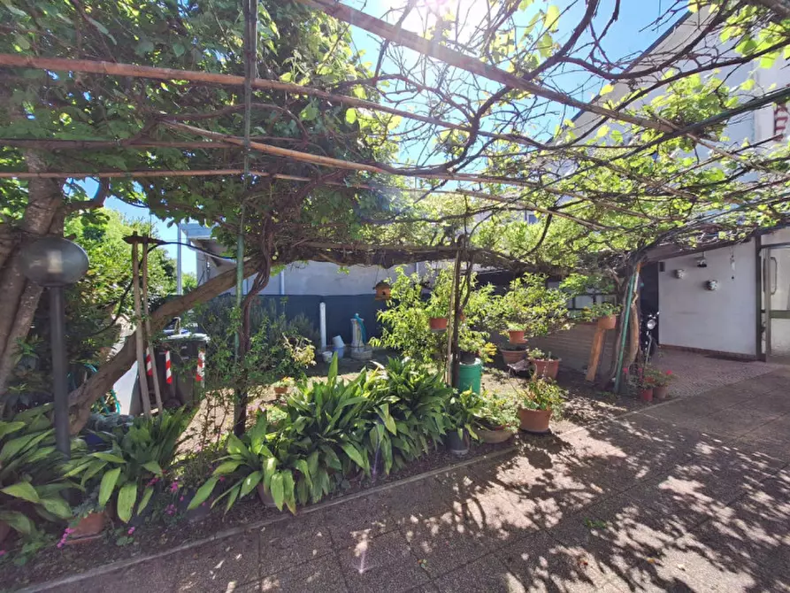 Immagine 35 di Casa indipendente in vendita  in Via Pergolesi a Rovigo