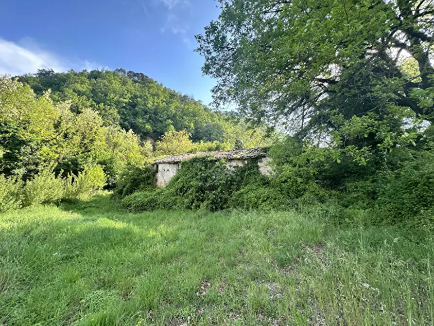 Immagine 2 di Rustico / casale in vendita  a Perugia