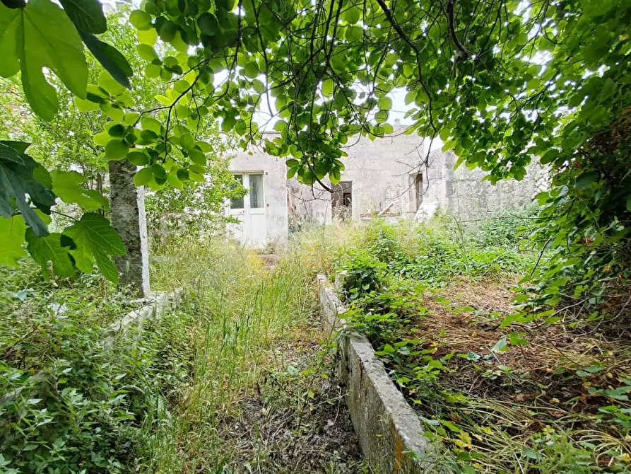 Immagine 18 di Casa indipendente in vendita  in Cursi via San Nicola a Cursi