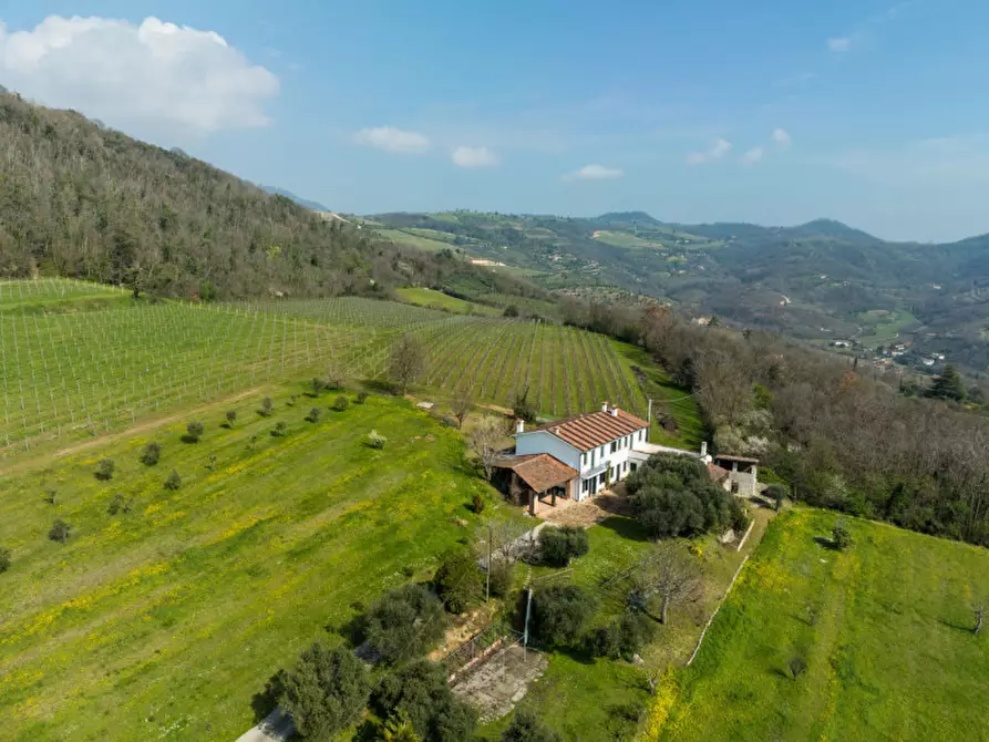 Immagine 1 di Rustico / casale in vendita  in VIA TORRESELLE a Baone