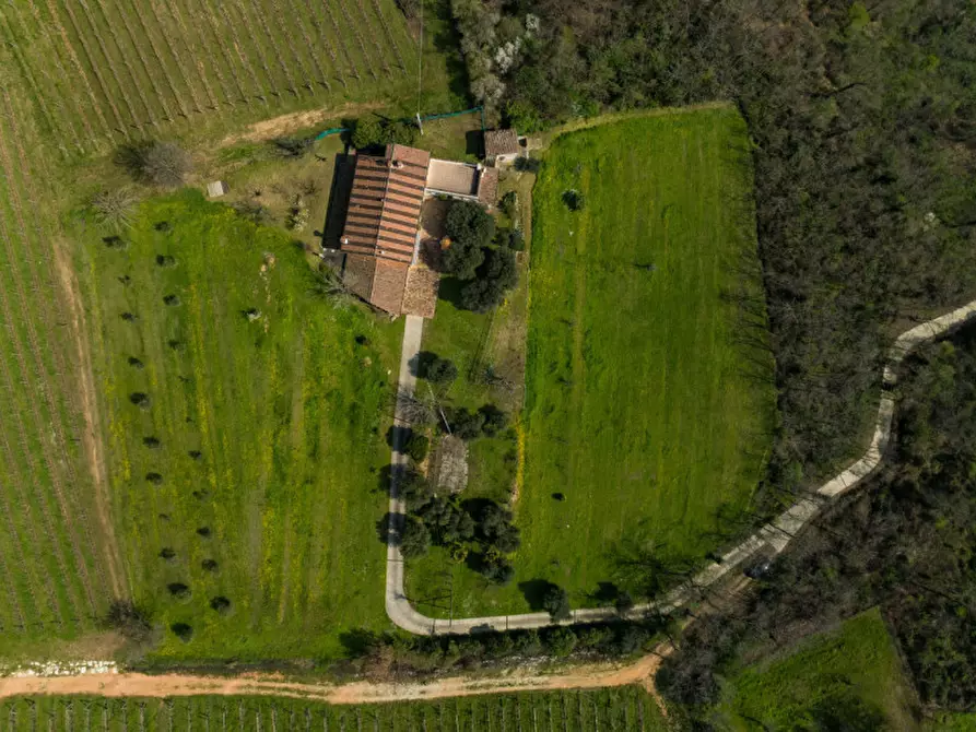 Immagine 11 di Rustico / casale in vendita  in VIA TORRESELLE a Baone