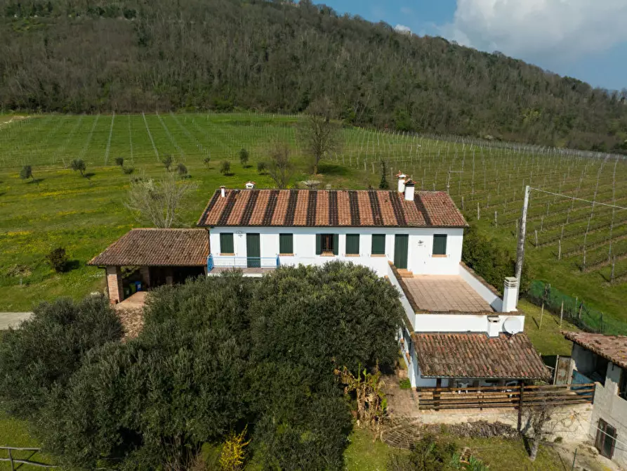 Immagine 18 di Rustico / casale in vendita  in VIA TORRESELLE a Baone