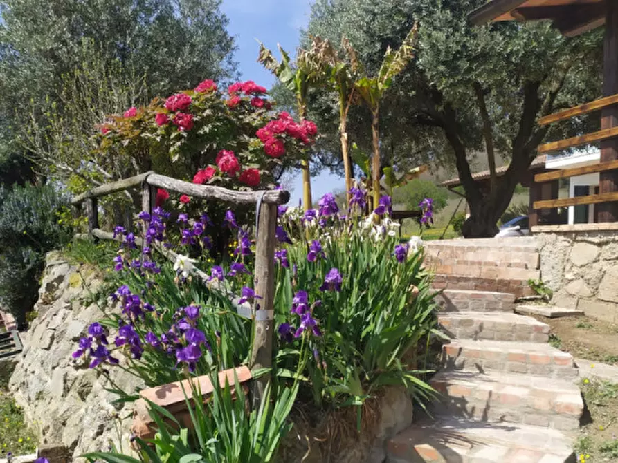 Immagine 19 di Rustico / casale in vendita  in VIA TORRESELLE a Baone