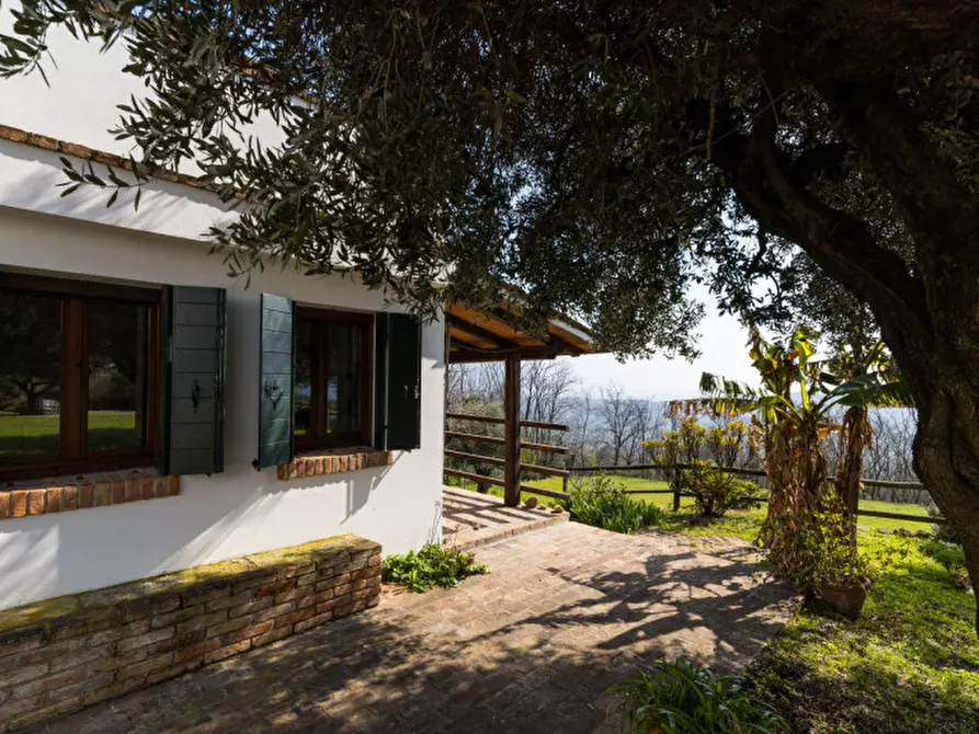 Immagine 22 di Rustico / casale in vendita  in VIA TORRESELLE a Baone