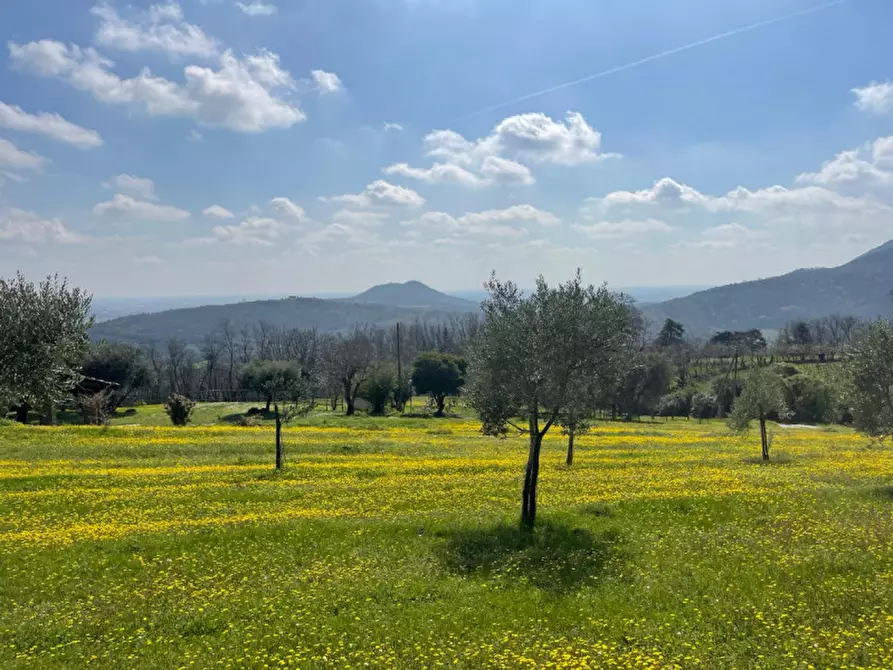 Immagine 26 di Rustico / casale in vendita  in VIA TORRESELLE a Baone
