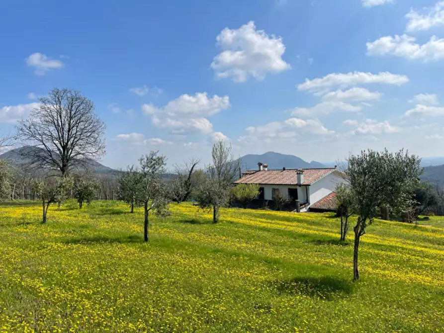 Immagine 27 di Rustico / casale in vendita  in VIA TORRESELLE a Baone