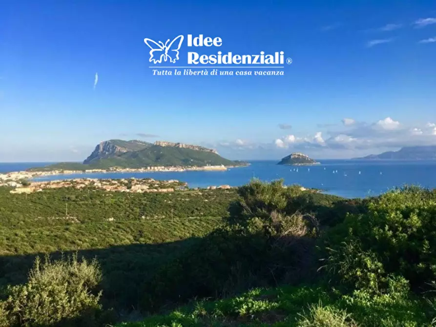 Immagine 14 di Appartamento in vendita  in via dei gabbiani a Golfo Aranci