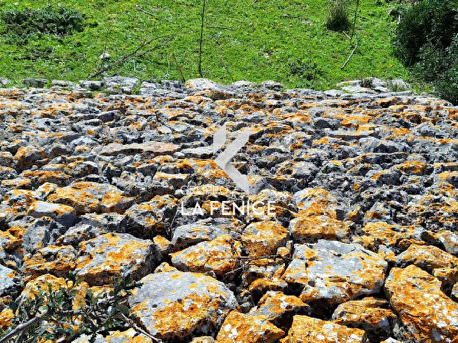Immagine 3 di Rustico / casale in vendita  in Contrada Valente a Crispiano