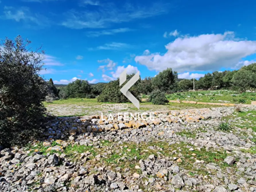 Immagine 5 di Rustico / casale in vendita  in Contrada Valente a Crispiano