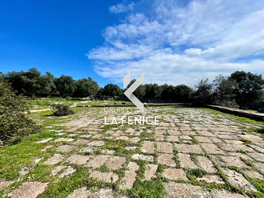 Immagine 14 di Rustico / casale in vendita  in Contrada Valente a Crispiano