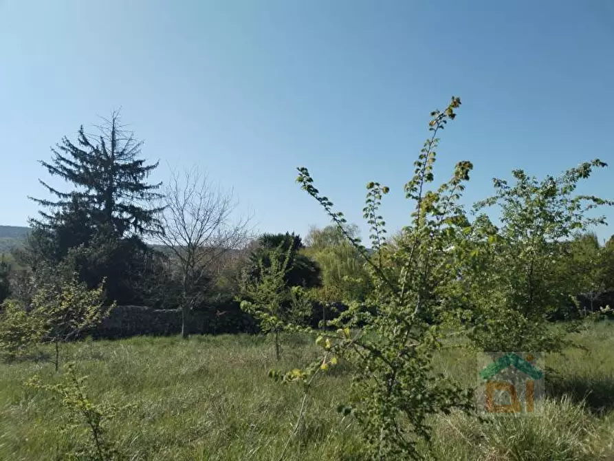 Immagine 7 di Terreno in vendita  in via della tesa snc a Farra D'isonzo