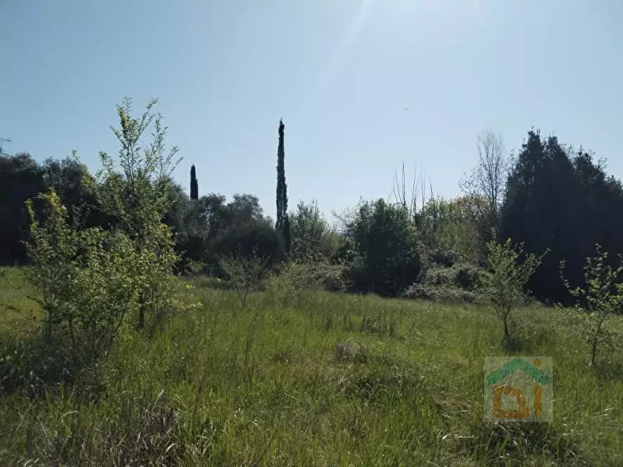 Immagine 9 di Terreno in vendita  in via della tesa snc a Farra D'isonzo