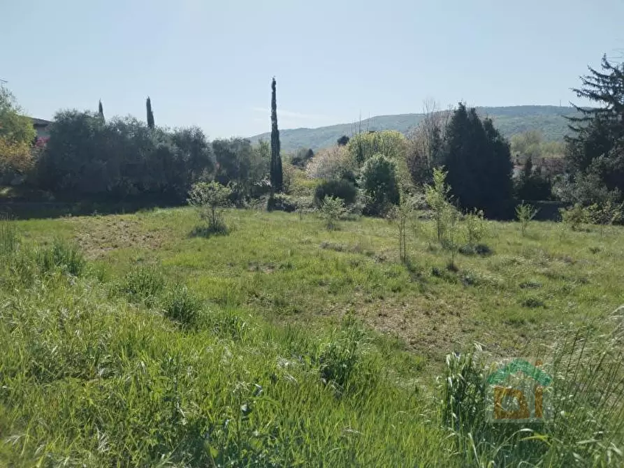 Immagine 17 di Terreno in vendita  in via della tesa snc a Farra D'isonzo