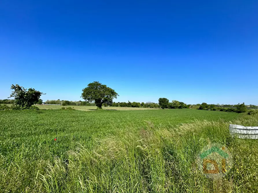 Immagine 7 di Terreno in vendita  in Via Fratelli Rosselli a Gradisca D'isonzo